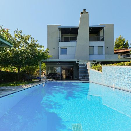 Deluxe Chrousso Pool Villa 帕利乌里翁 外观 照片